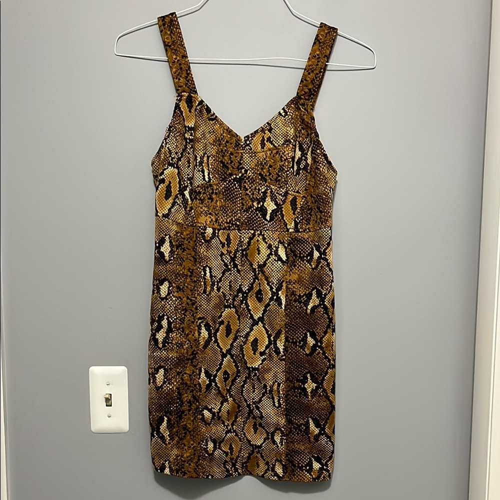 Zara Snake Print Dress